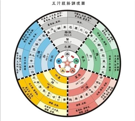 五術是什麼|道家五術丨傳說中的「山、醫、命、相、卜」！！